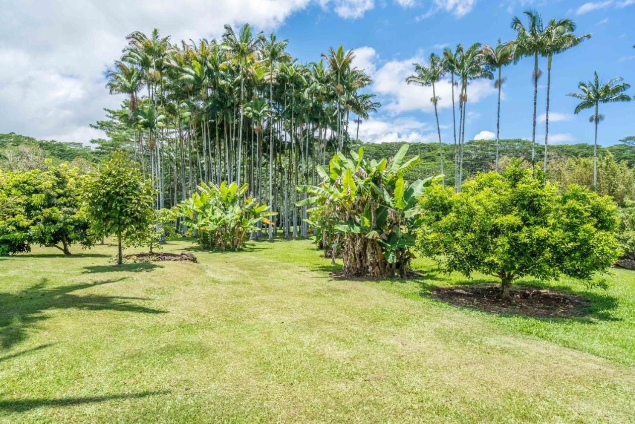 Old Hawaiian Bed And Breakfast Hilo Exterior foto