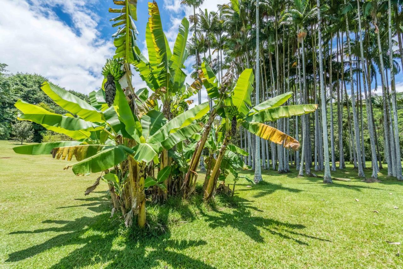 Old Hawaiian Bed And Breakfast Hilo Exterior foto