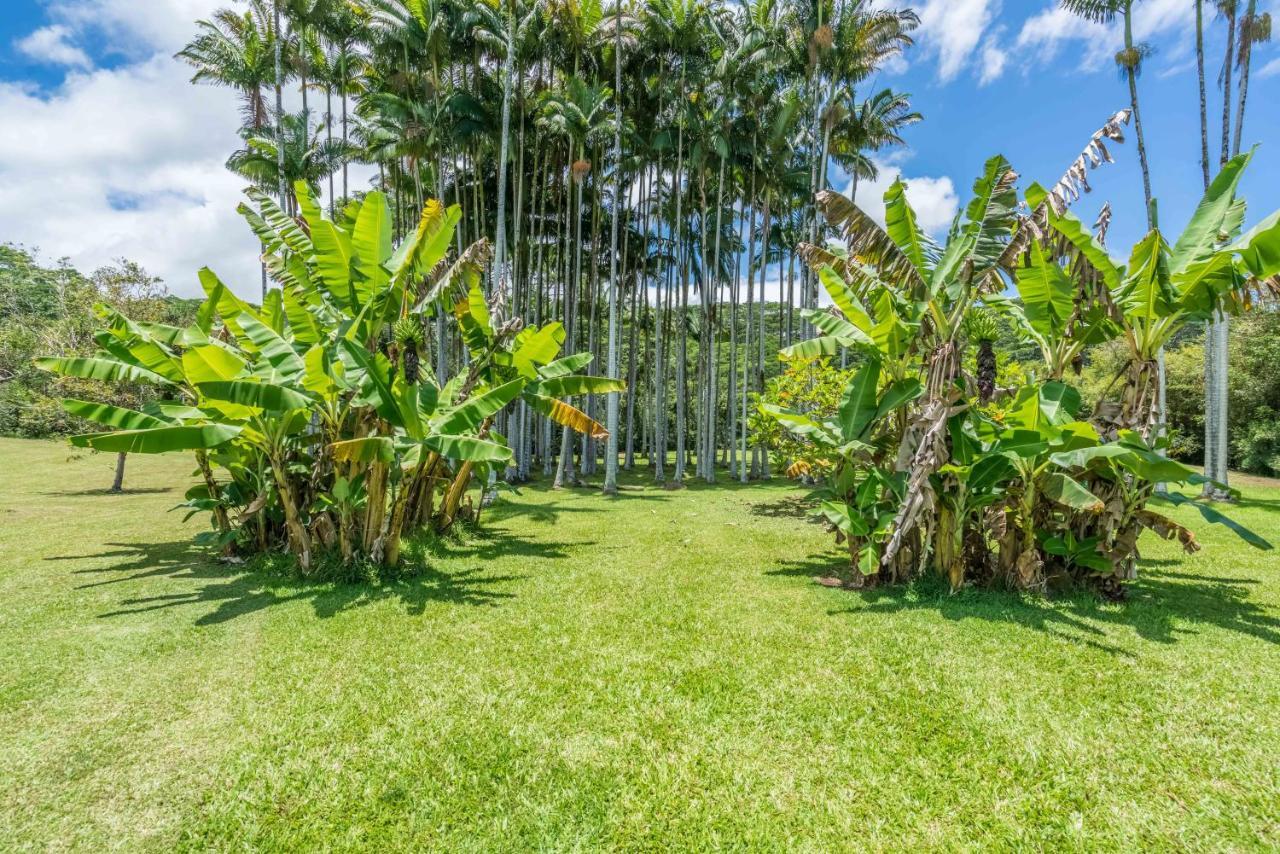 Old Hawaiian Bed And Breakfast Hilo Exterior foto