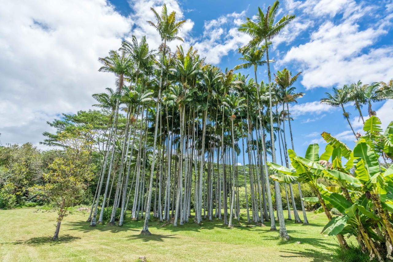 Old Hawaiian Bed And Breakfast Hilo Exterior foto